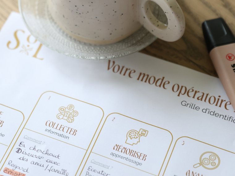 Gros plan sur la grille « Votre mode opératoire » de la méthode MO2I